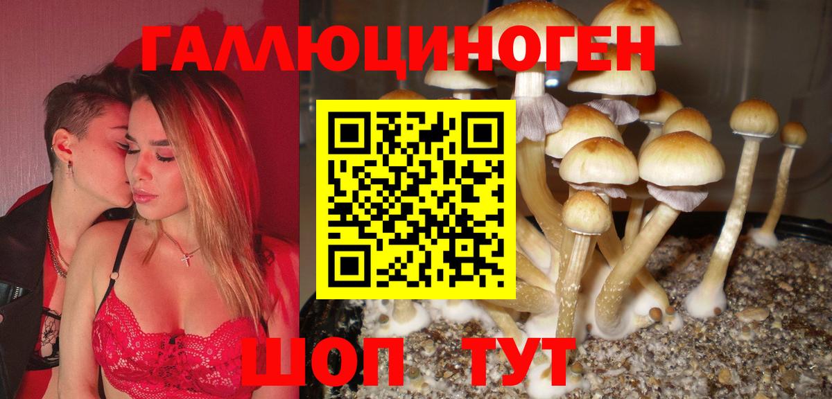 Новочебоксарск  Псилоцибиновые грибы Psilocybe  Вход с VPN  Псилоцибиновые грибы прущие грибы 